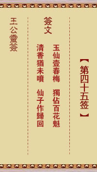 王公灵签 第45签：玉仙一春梅、独占百花魁